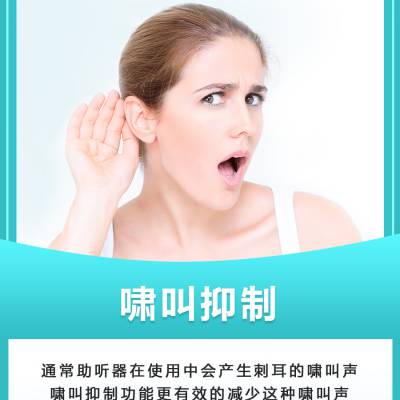 深圳市中德听力技术有限公司