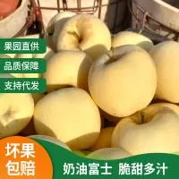莱阳市鑫犇果蔬购销农民专业合作社